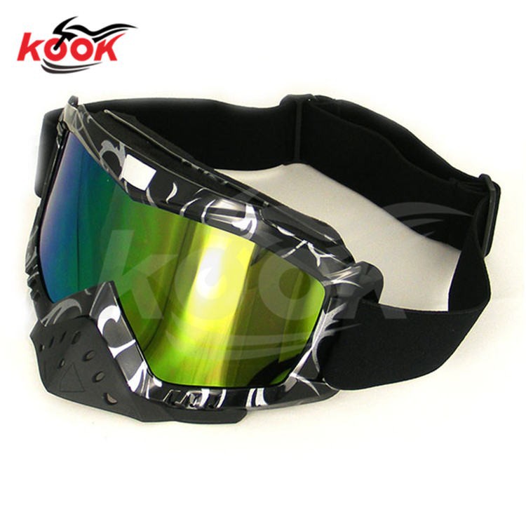 motorcycle goggles (2)