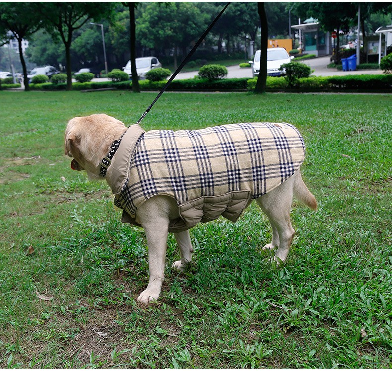 large dog clothes (13)