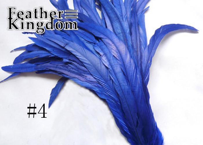 blue chicken feather
