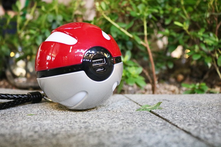 3265800787_952582848