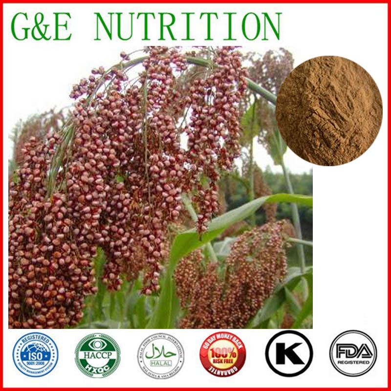 1000g Sorghum bicolor/ Broomcorn Extractwith free shipping