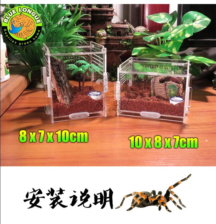 Crystal Acrylic Herp Pet Cage, Small box mosquera acrylic pet feeding box scorpion scollops pet box01