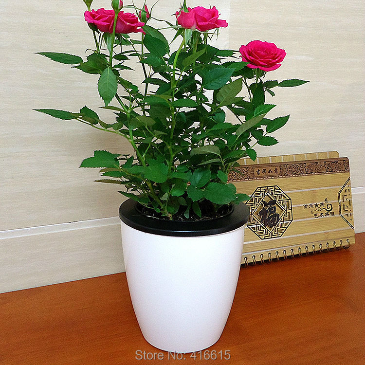 Online Kaufen Großhandel blumentopf bewässerung aus China