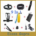 Fig. Image for content