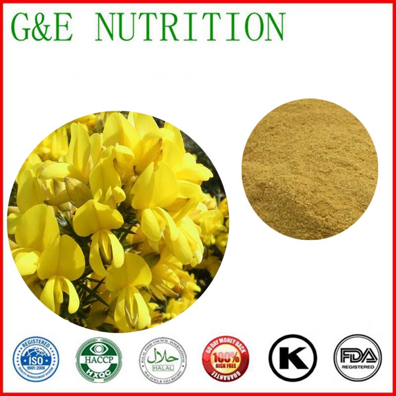 500g Natural Gorse/ Broom/Furze/Cytisus/ Genista Extract with free shipping