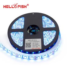 Hello Fish 5m 5050 300 SMD IP65 Waterproof LED strip 12V flexible 60led m LED tape
