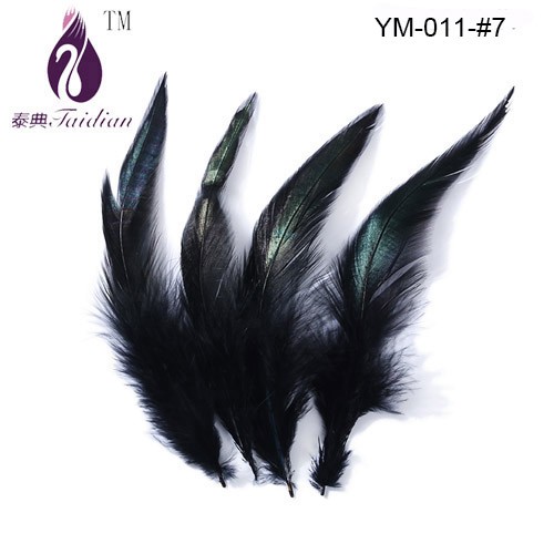 Rooster feather-7