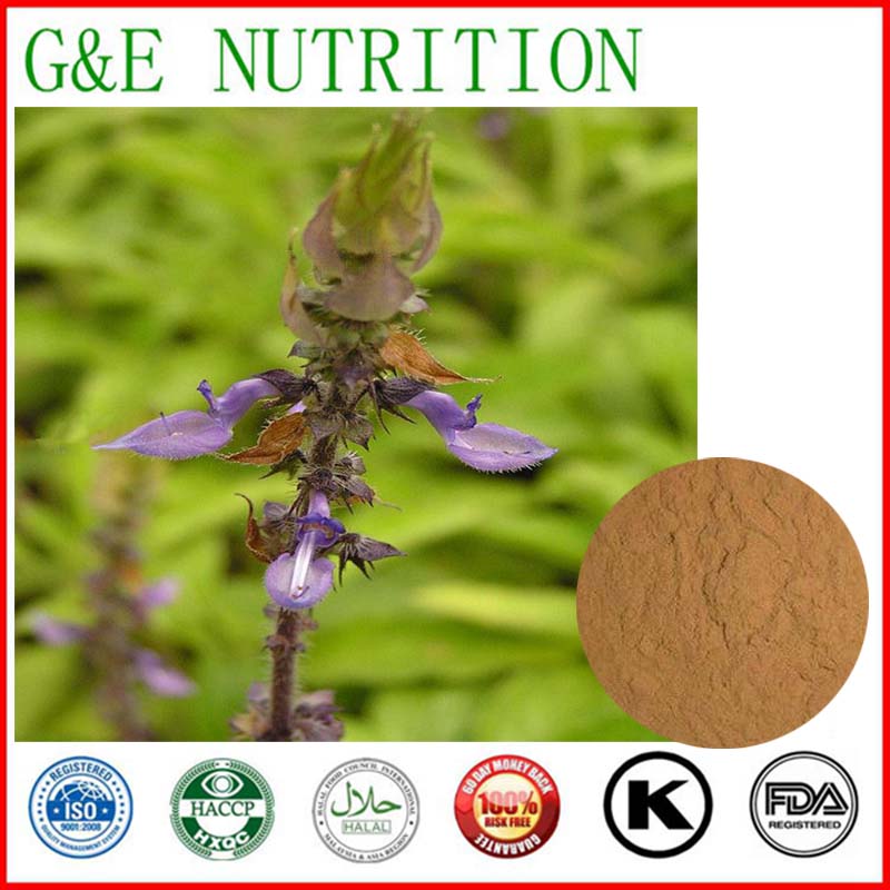 New Arrival and Natural Grad Coleus forskohlii  Extract, 500g/bag