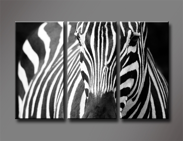 Black and White Zebra, 3 Panels/Set HD Canvas Print Painting Artwork, Wall Art Picture Gift for Living Room, WHOLESALE W702