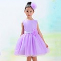 New Wholesales Girl Pleated Tulle Dress Kids Floral Party Dress Christmas Clothes