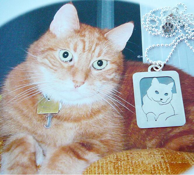 kucing ditembak promotion shop for promotional kucing ditembak on aliexpress alibaba kucing ditembak promotion shop for promotional kucing ditembak on aliexpress alibaba