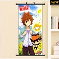 45X95CM Katekyo Hitman REBORN KHR Amano Akira Japan cartoon anime art wall picture mural scroll cloth