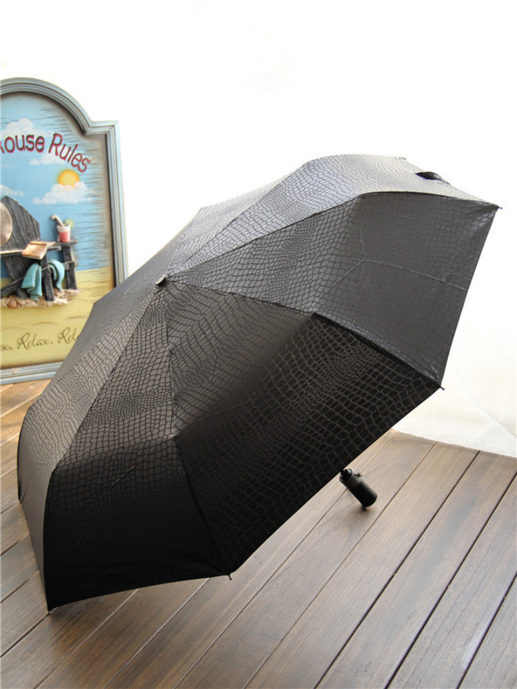 Umbrella paraguas parapluie11.jpg