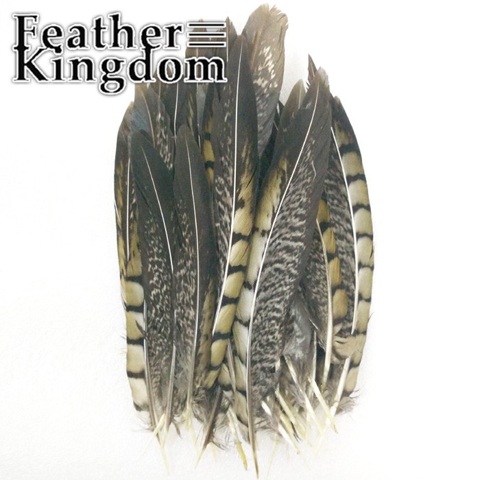 natural lady amherst pheasant feathers 700