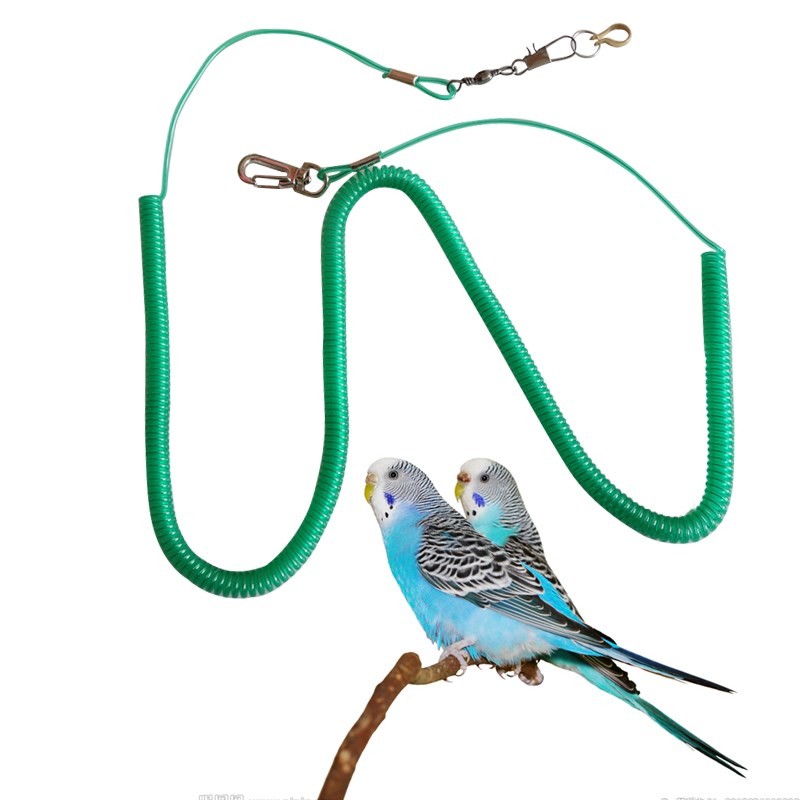 Parrot-Bird-Pet-Leash-Kits-Anti-bite-Flying-Training-Rope-Random-Color-Harness-Leash-Soft-Portable (1)