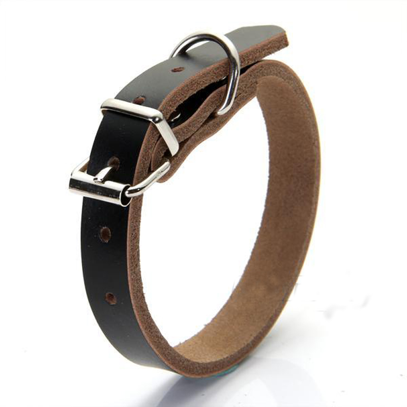 Hot dog collars coupon code