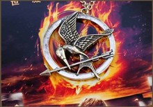 Sunshine jewelry store the hunger games necklaces pendants X339 10 free shipping 