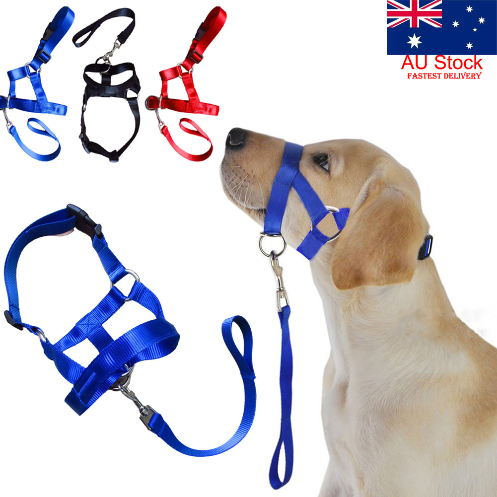 halti dog harness