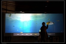 50 inch interactive touch foil,6 points interactive touch foil film, capacitve touch screen foil film,lcd touch foil for monitor