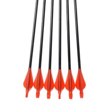 Free shipping 6PCS Archery Compound Bow Arrow Pracise Fiberglass Arrow 31 inch Length with Plastic Arrow
