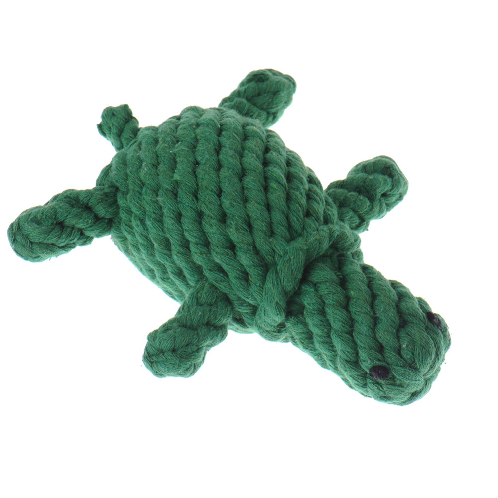 DY389-Turtle (3)