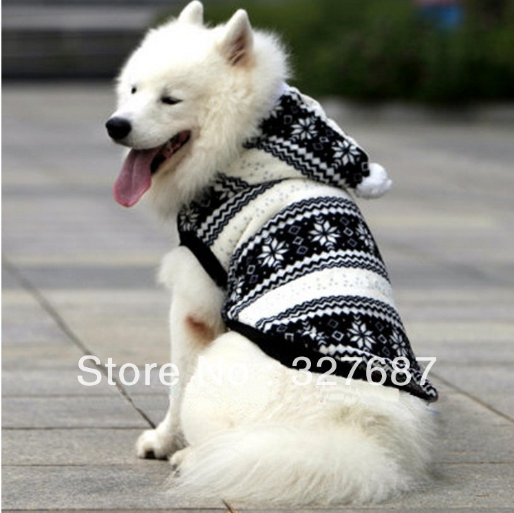 gama alta adulterio estilo perrito gama alta adulterio estilo perrito
