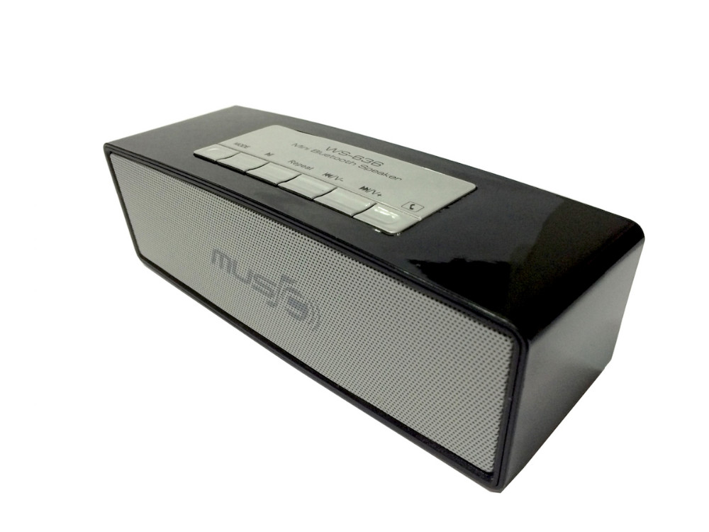 music speaker altavoz-IMG_8302