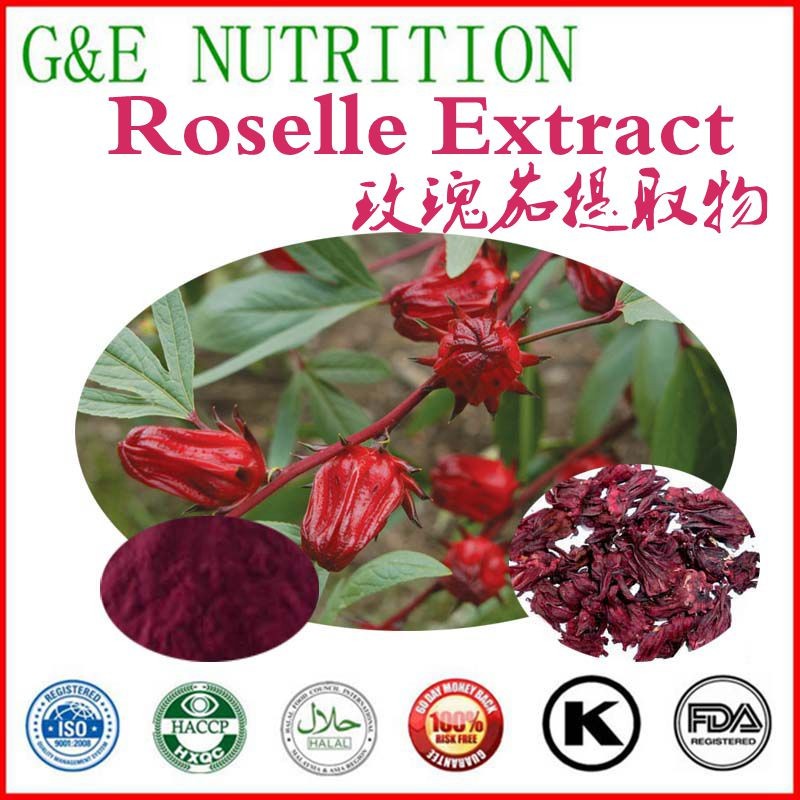 700g Lowest price Roselle/ Hibiscus sabdariffa Extract with free shipping