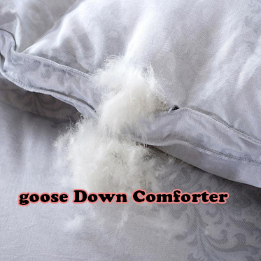 goose down