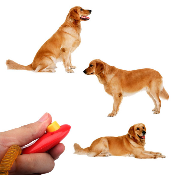 New Dog Pet Click Clicker Training Trainer Aid Wrist V3NF