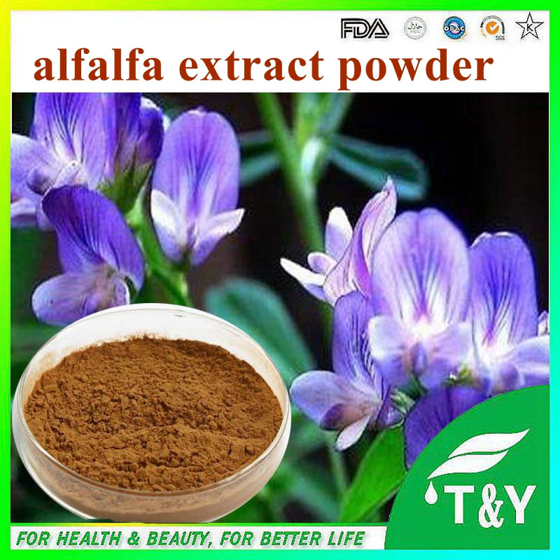 Alfalfa extract/powder/alfalfa seed/alfalfa hay for sale