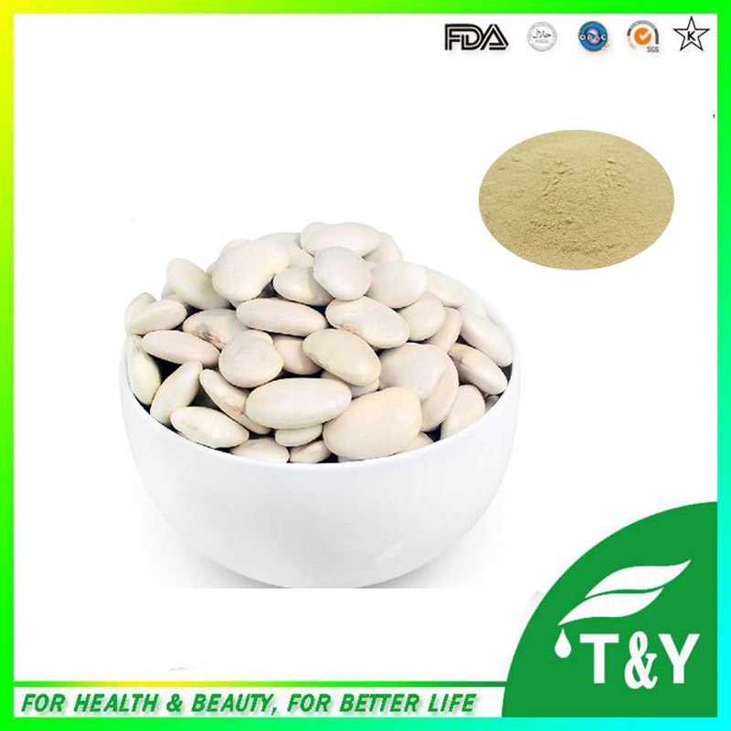 High quality and pure natural white kidney bean extract with competitive price 800g/lot