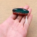 Realistic Popper bait 5 5 Centimeters 10 4 grams 8 Fish hook fish Pascal bait Crank