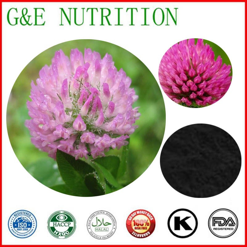 China Red Clover Extracts/ Red Clover P.E   Isoflavones    10:1   400g