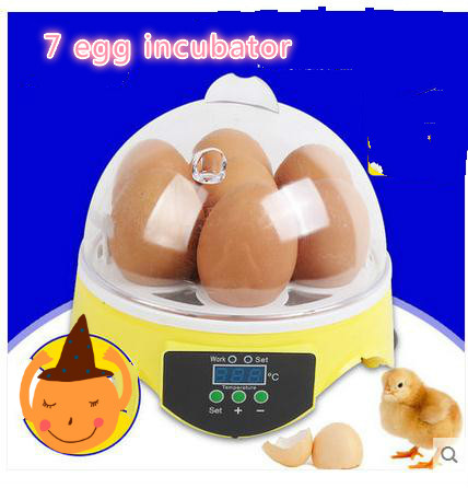  machine automatic micro incubation, household type incubator 1 piece