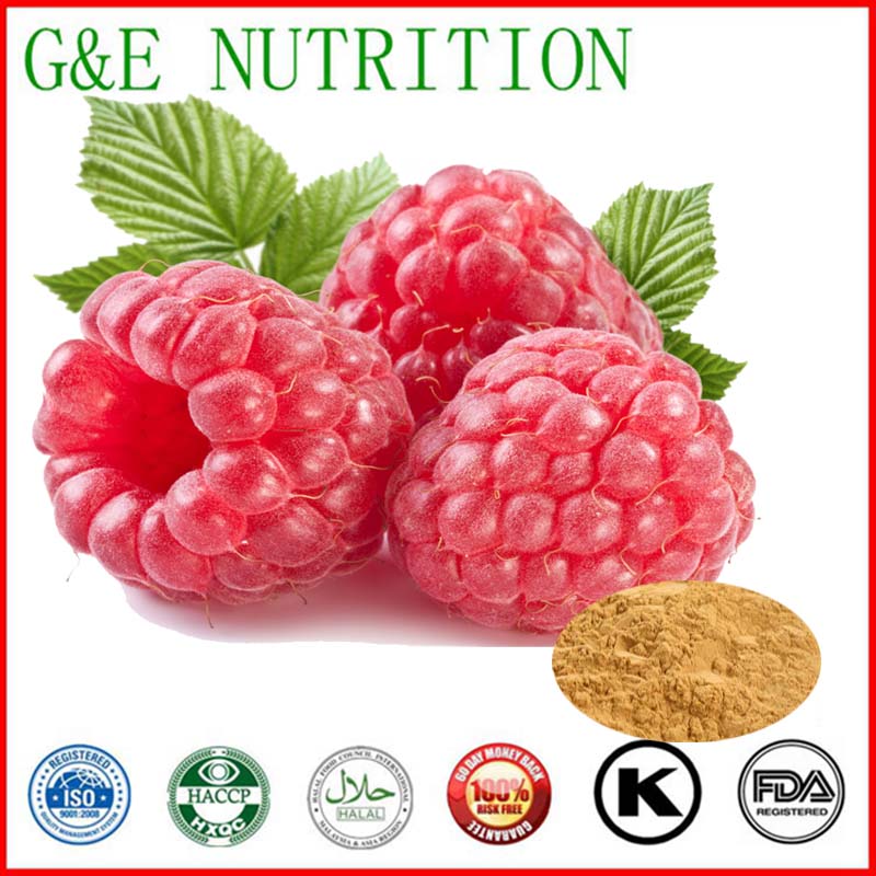 Фотография Loss weight&Keep fit Natural Raspberry ketone 1000g