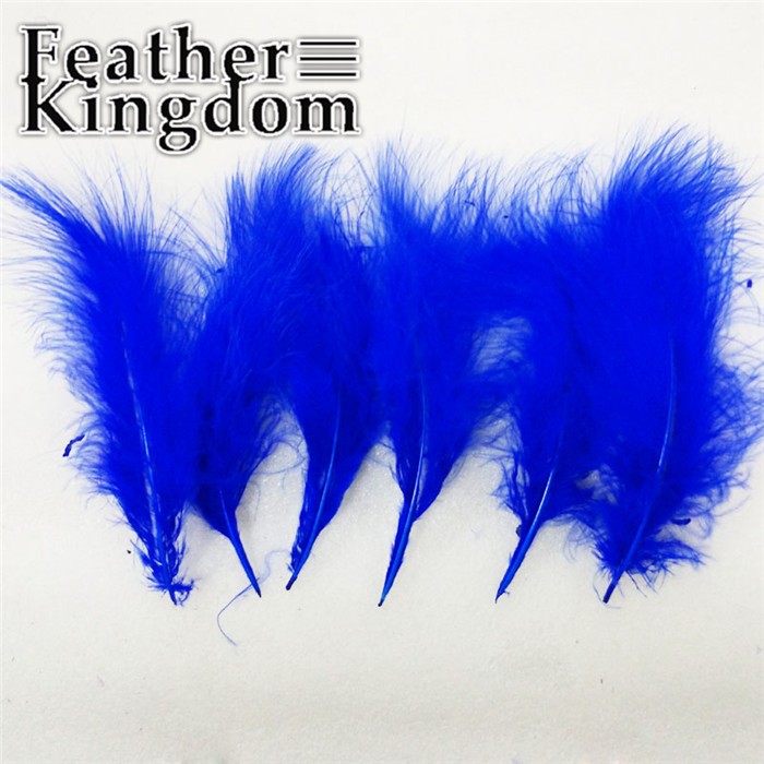 royal blue Turkey feathers 1