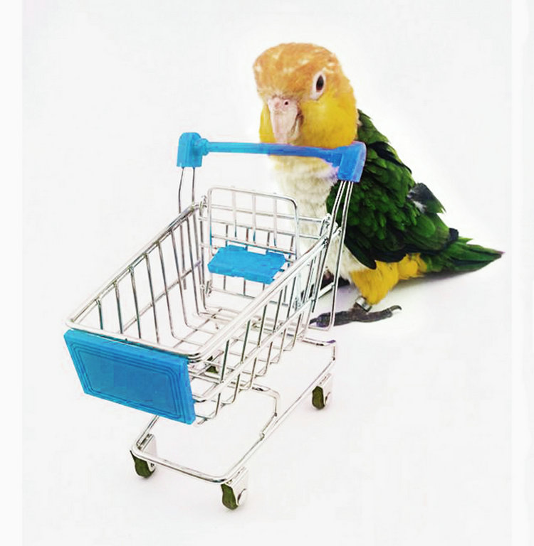 multi colors mini shopping cart trolley pet bird parrot multi colors mini shopping cart trolley pet bird parrot