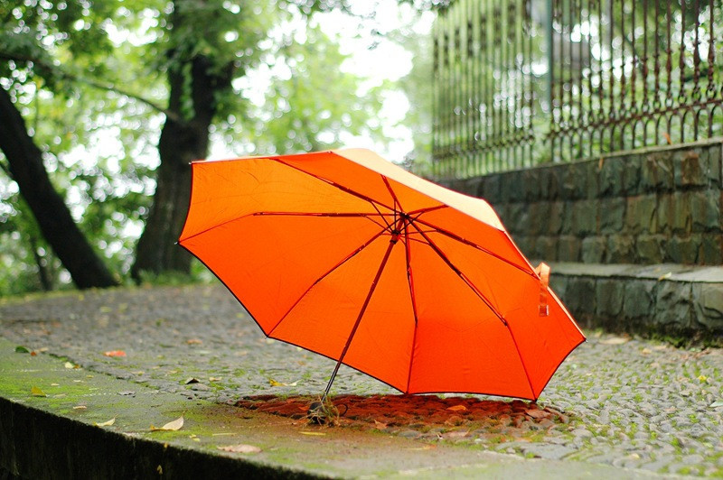 umbrella Paraguas parapluie12.jpg