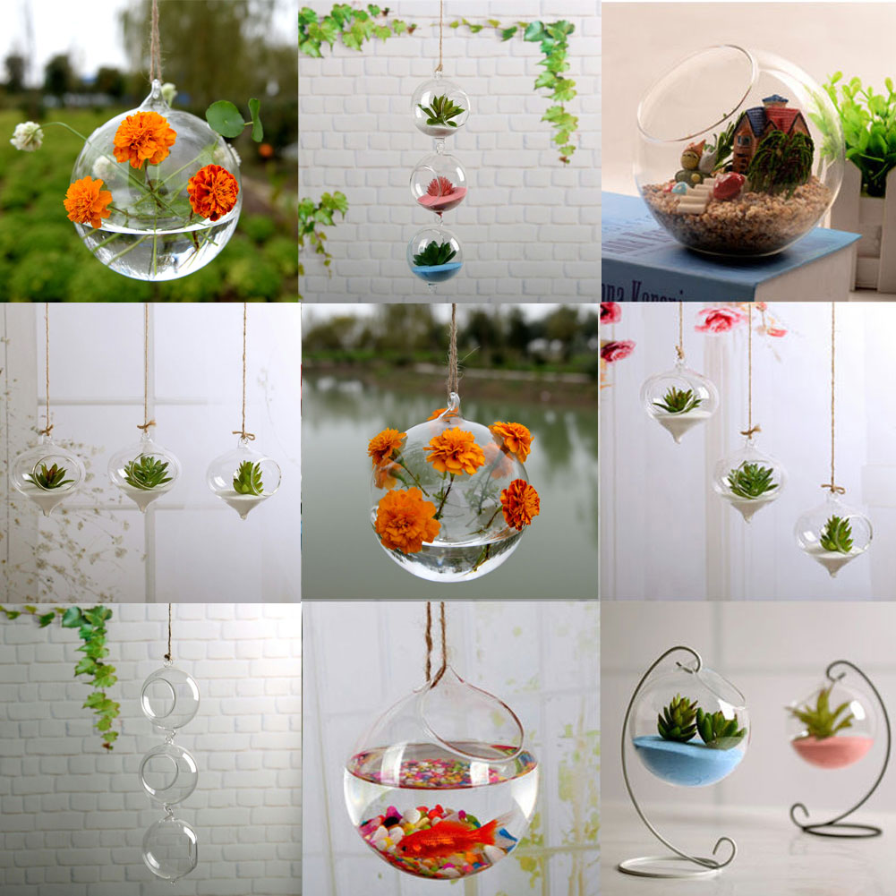 Vases Flower Plant Wall Hanging Clear Glass Vase Bottle Pot Home