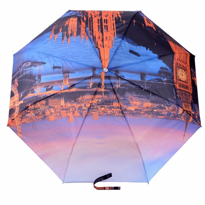 umbrella (12)