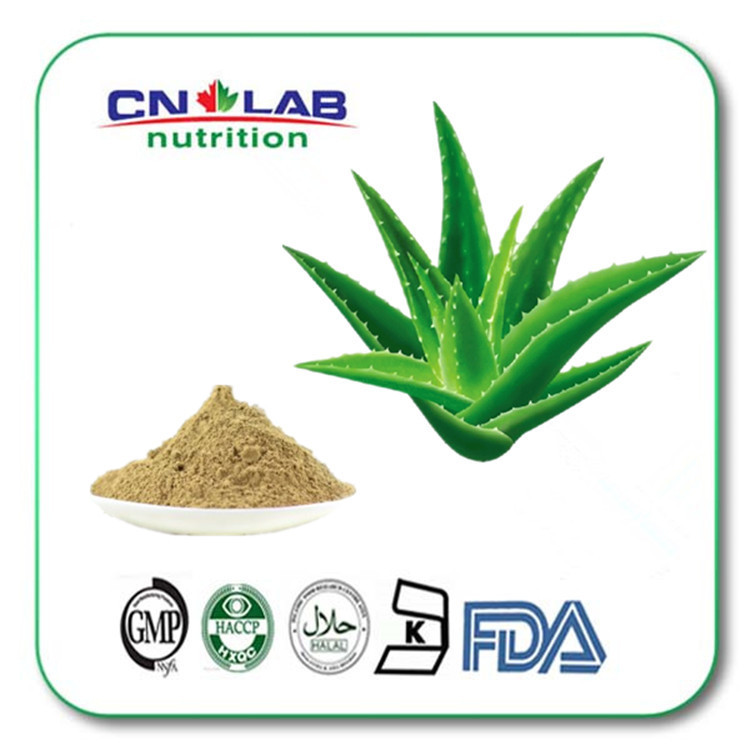 100% Natural herbal extract Aloe Vera Extract,Aloe Vera Extract Plant,Aloe Extract Powder