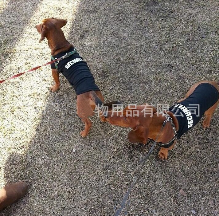 t shirt for large dogs (5)