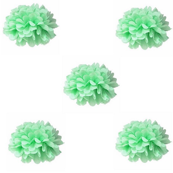 20cm POM MINT