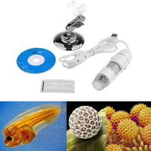 2016 New Portable usb 50-500X Video Camera Endoscope Led Digital Microscope White Free Shipping