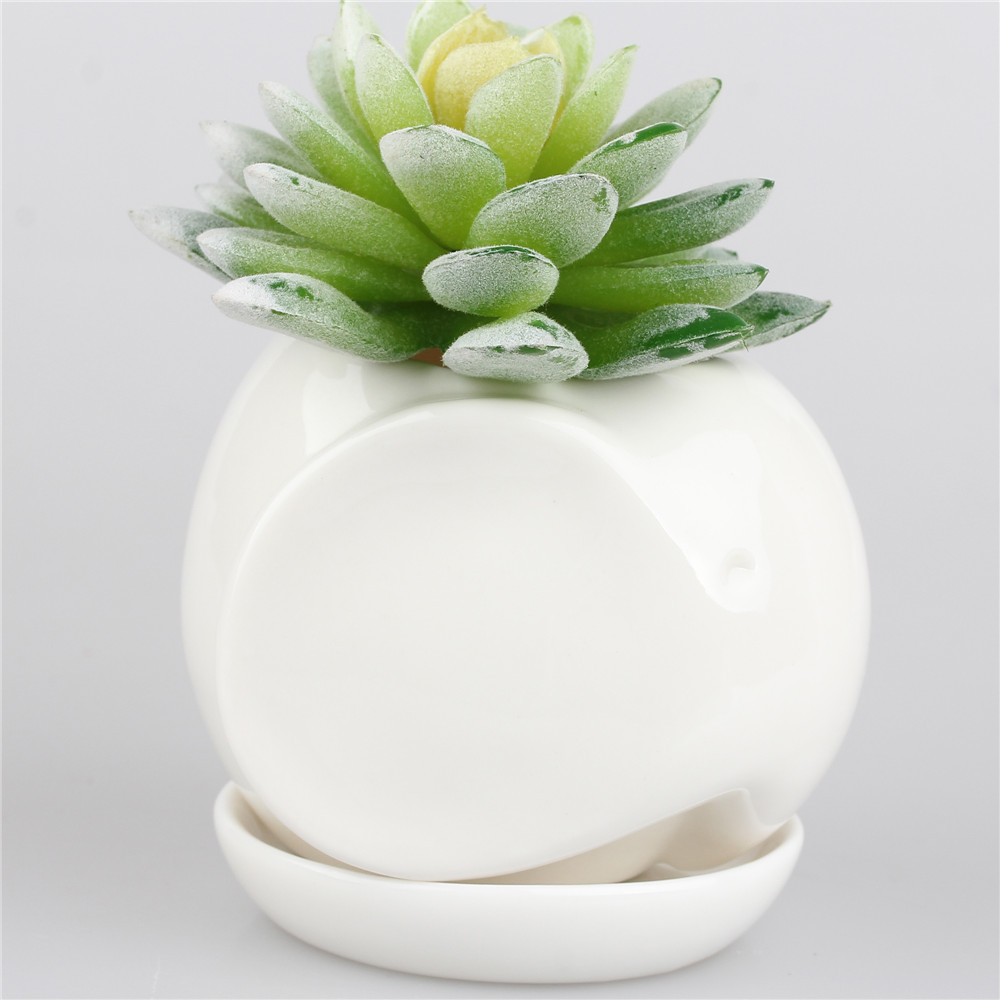 Plant olifant koop goedkope plant olifant loten van chinese plant ...