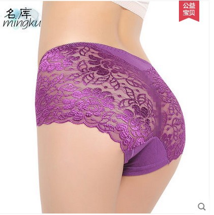 Hot Women underwear Perspective Sexy full transparent lace Plus size mid waist triangle Panty Calcinha Women