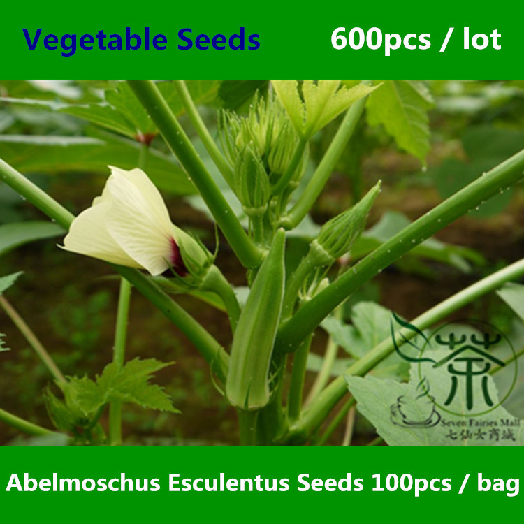 Plant viagra wholesale