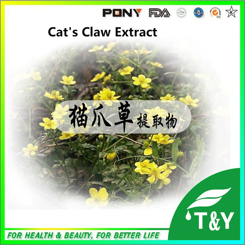 High quality Natural Cat's Claw extract 2%,5% ,Radix Ranunculi Ternati/ Radix Ranunculus Ternati