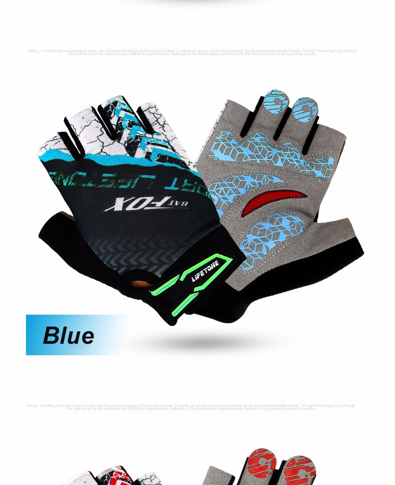 2763734137_732731584